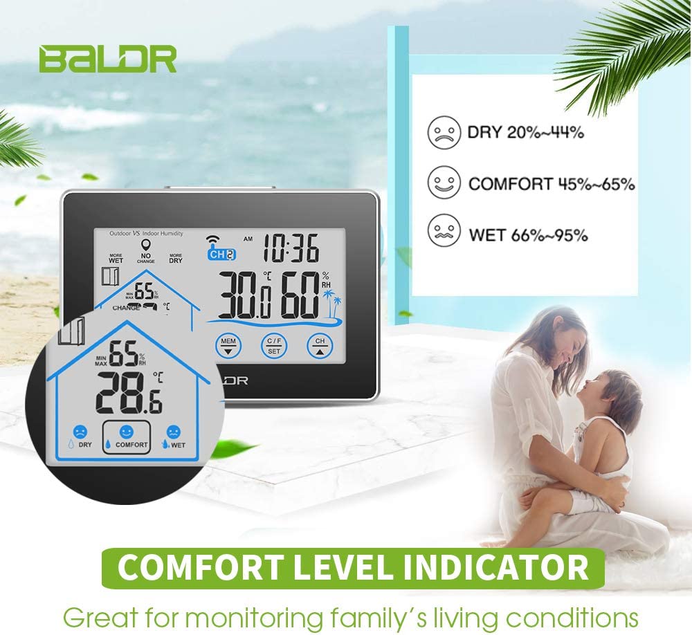 Baldr Household Weather Station B317TH
